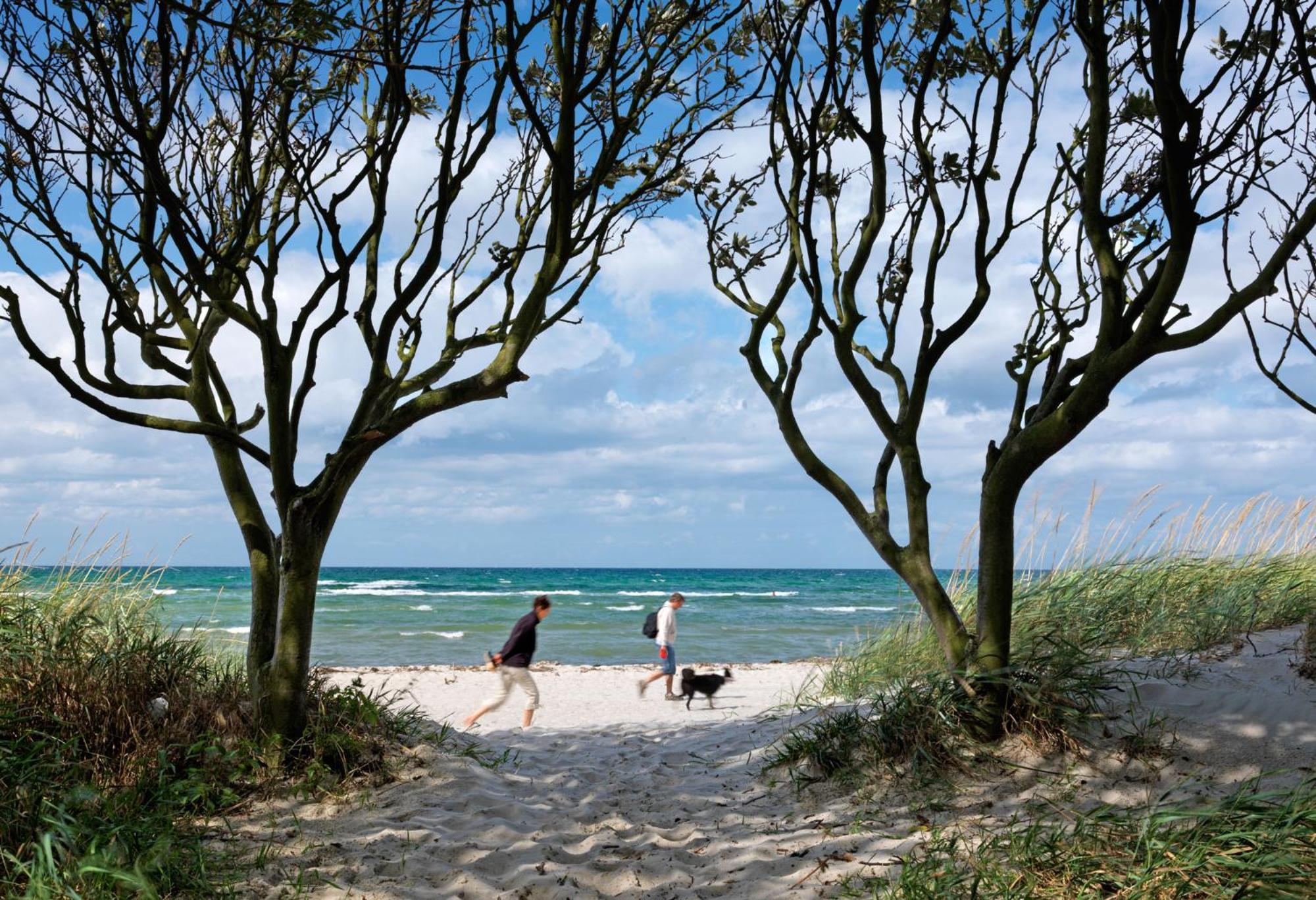 Haus Seeschwalbe Timmendorf Luaran gambar
